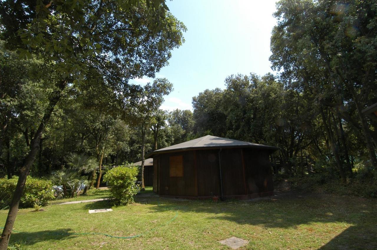 Bungalow,31187945:JPEG